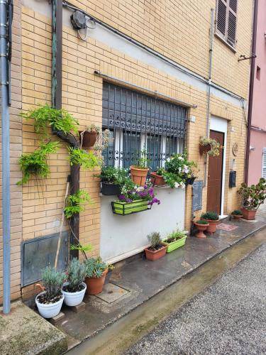 Porto San Giorgio Bed & Breakfast | 16 m² Bed and breakfast ∙ 3 guests