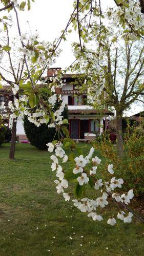 Cavour Bed & Breakfast | 20 m² Bed and breakfast ∙ 3 guests