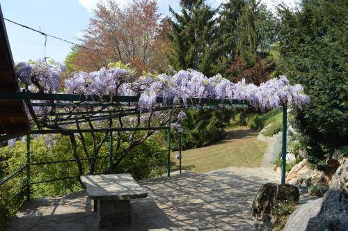 Busca Bed & Breakfast | 45 m² Bed and breakfast ∙ 3 guests