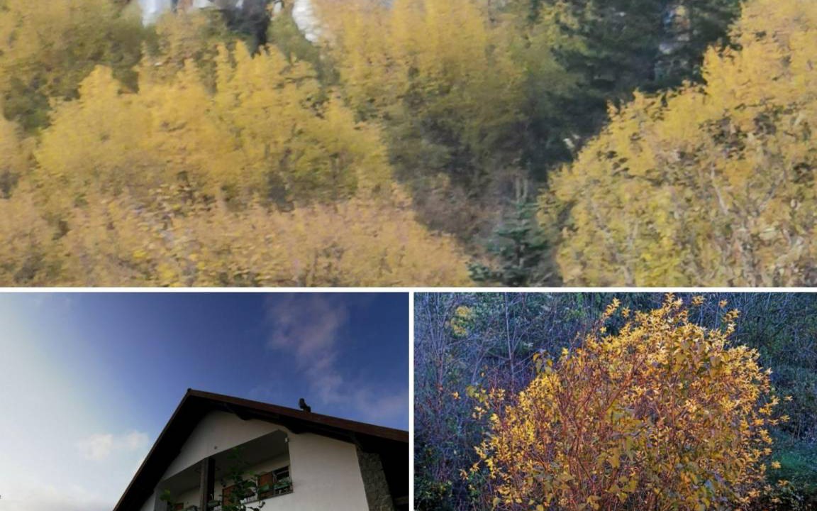 Borzonasca Apartment | 50 m² Apartment ∙ 1 bedroom ∙ 5 guests