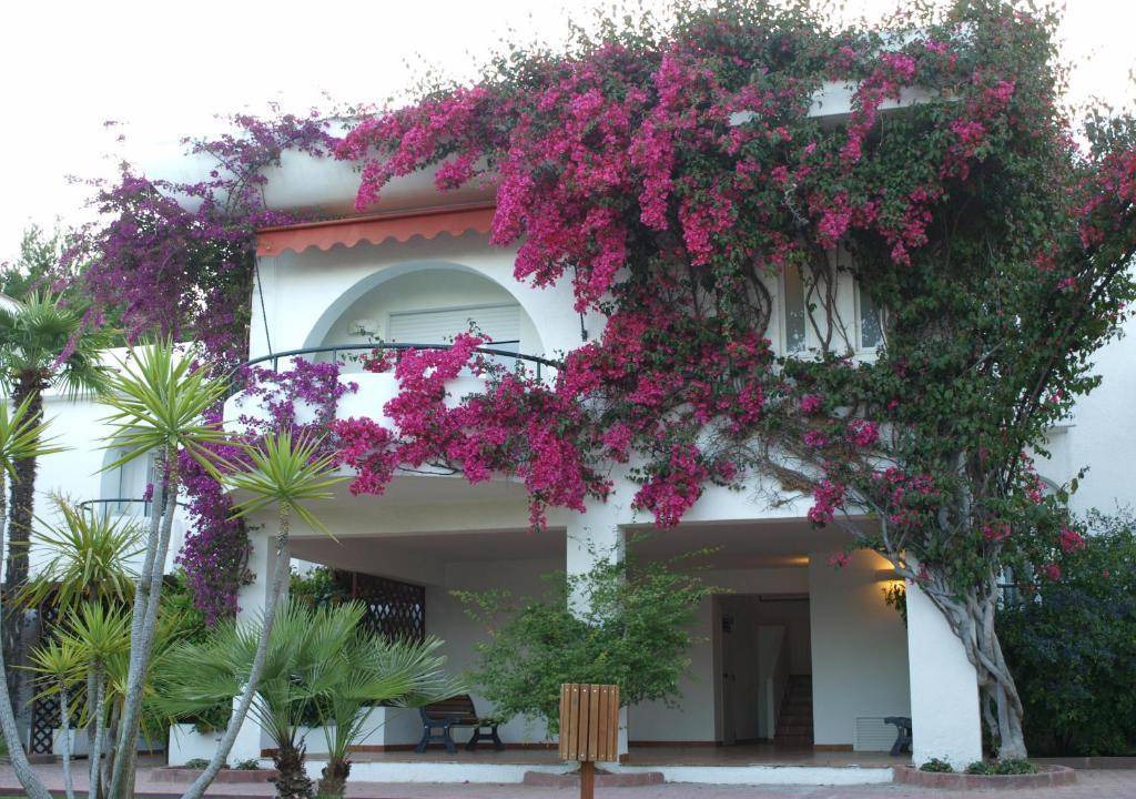 Mattinata Hotel | 50 m² Hotel ∙ 2 bedrooms ∙ 127 guests