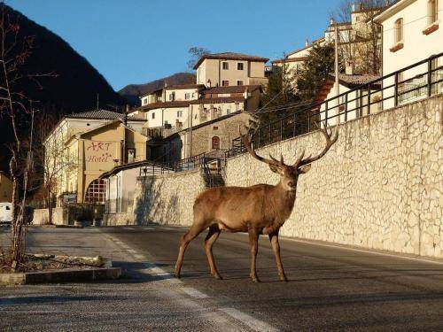 Villetta Barrea House | 65 m² House ∙ 2 bedrooms ∙ 5 guests