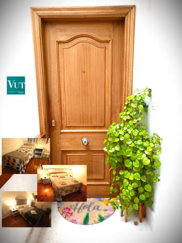 Onis Apartment | Apartamento Moni