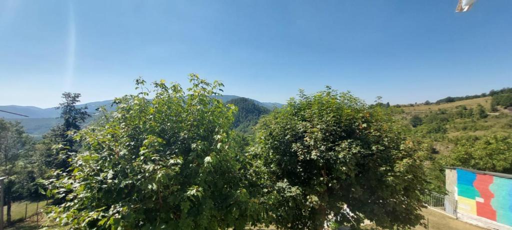 Bruscoli Bed & Breakfast | B & B Giu & Dany