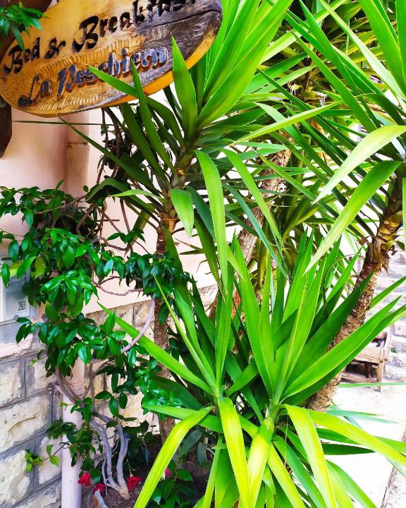 Carpineto Romano Bed & Breakfast | B&B La Peschiera