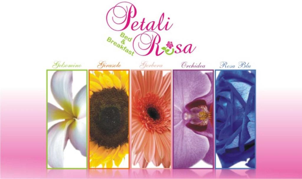 Polignano a Mare Bed & Breakfast | Beb Petali Rosa
