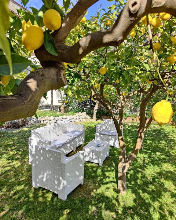 Minori Bed & Breakfast | Casa Amorino