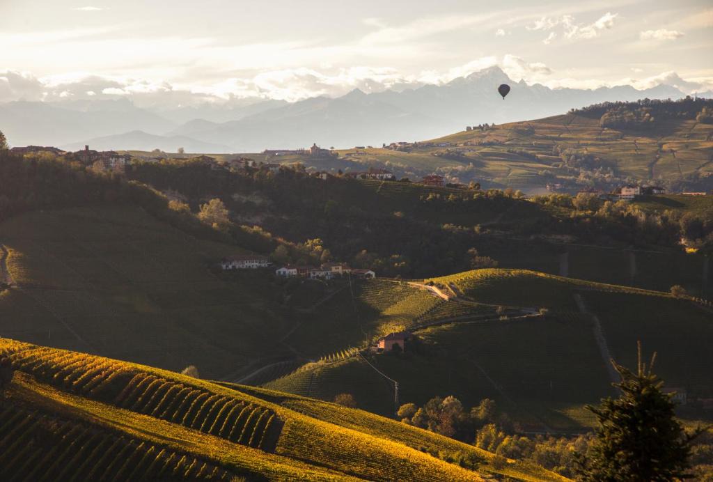 Serralunga d'Alba Apartment | CASA NELLE LANGHE
