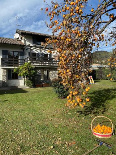 Pettenasco Apartment | Casa Vittorio