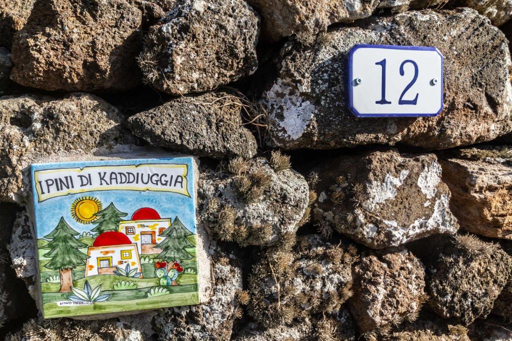 Pantelleria House | Dammuso i Pini di Kaddiuggia (CIR19081014C224053) & Dammuso di Mena (CIR 19081014C224052