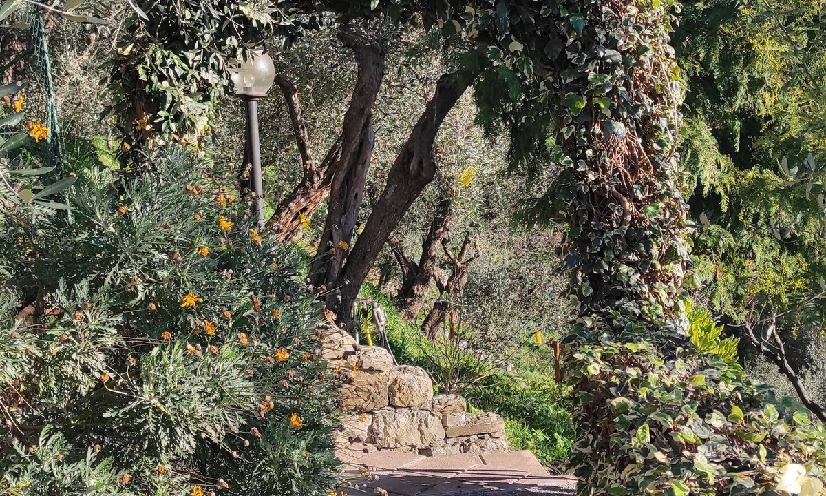 Leivi House | Detached cottage surrounded by greenery just minutes from the sea.