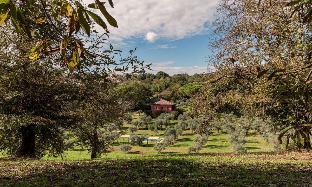 Poggio Cottage | Enveloping natural atmosphere, enjoy it with your loved ones.