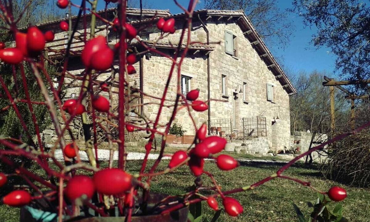 Farmhouse | Mengara
