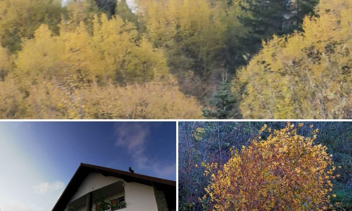 Borzonasca Apartment | Holiday apartment Borzonasca for 1 - 6 persons with 2 bedrooms - Holiday apartment