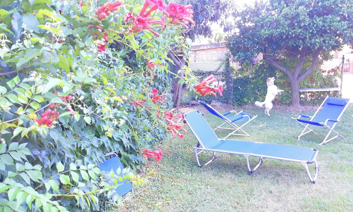 Canosa Sannita Apartment | Homerez - Apartment in Canosa Sannita