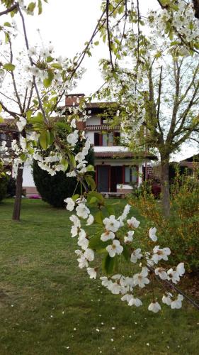 Cavour Bed & Breakfast | I 99 ulivi