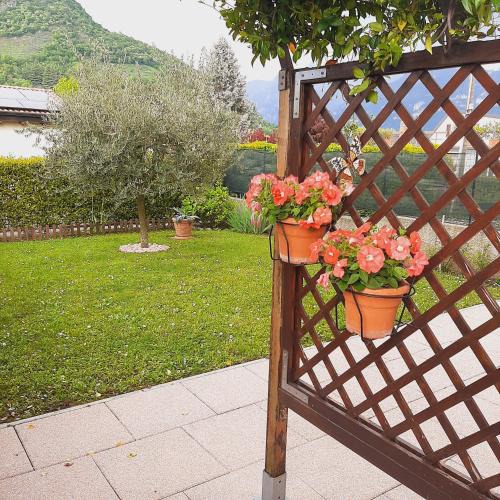 Quartiere XXIV Don Bosco House | Il PETTIROSSO