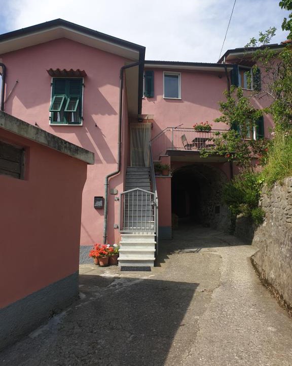 Isola House | Il Regno di Palmira