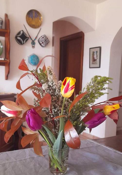Arcola Bed & Breakfast | In Vino Veritas