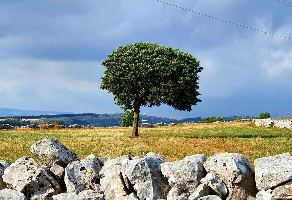 Ragusa Villa | L'aria ro munti
