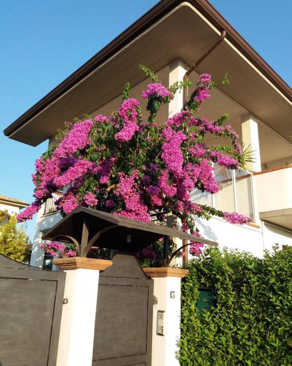 Manoppello Bed & Breakfast | La Bouganville di Sante e Rosa