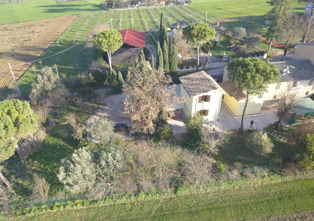 Badiola House | La Casa di Bach