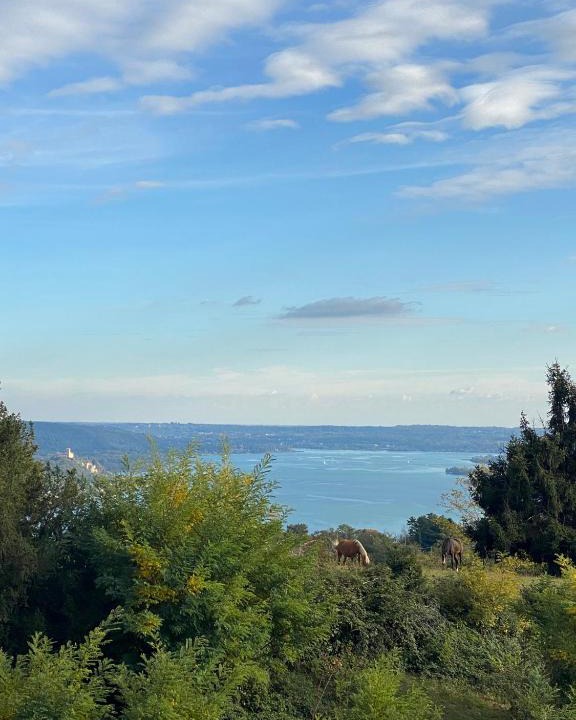 Nebbiuno Apartment | La Garçonniérre del Lago Maggiore