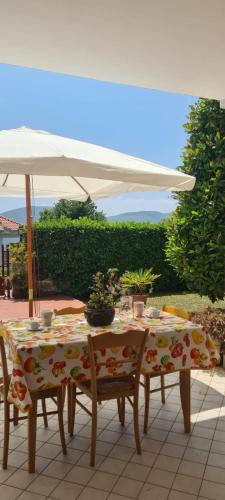 Fiuggi Apartment | La Magnolia