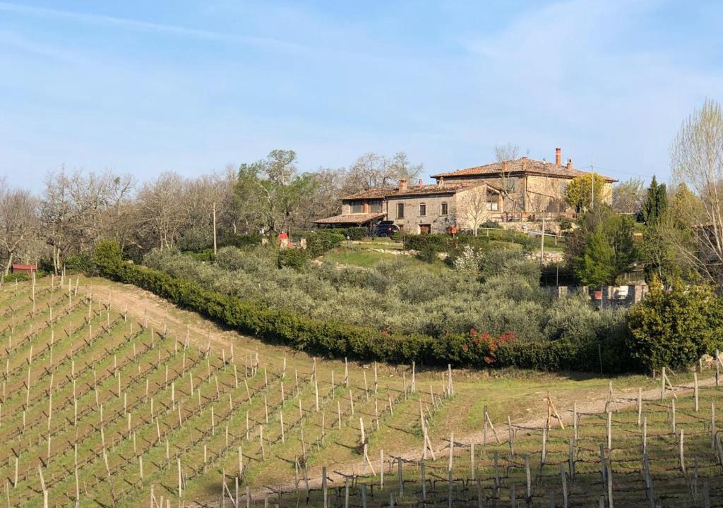Gaiole in Chianti House | La stalla