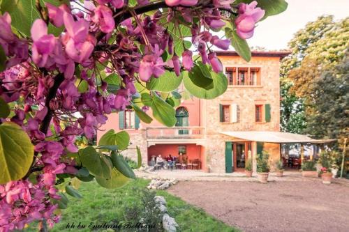 Imola Apartment | Locanda Donna Laura