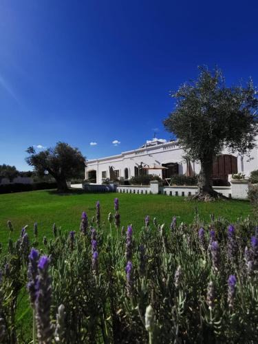 Macchia di Monte House | Masseria Bianca di Puglia