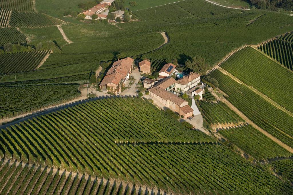 Barolo House | Palas Cerequio