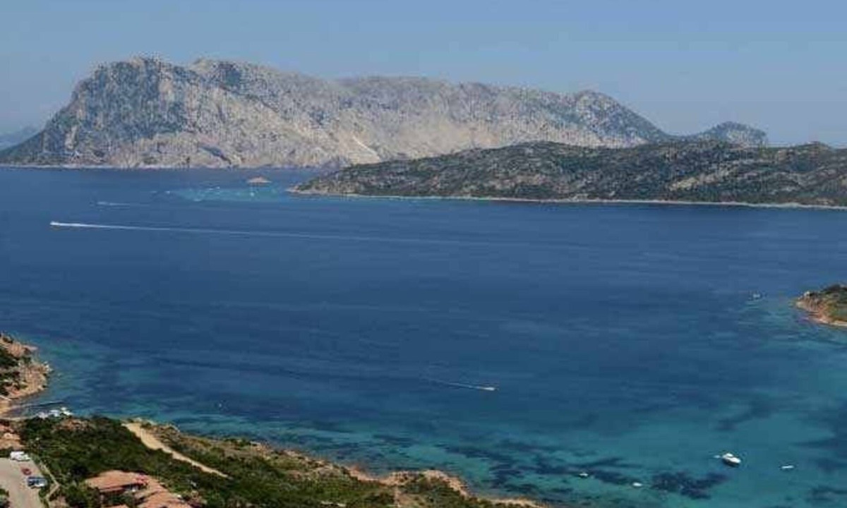 Capo Coda Cavallo Apartment | Panoramic seaside apartment in Capo Coda Cavallo (sleep 4)