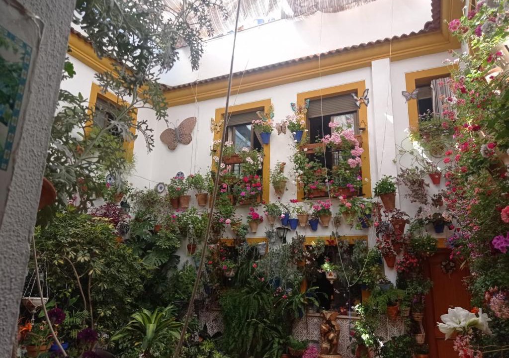San Lorenzo House | PATIO POZANCO