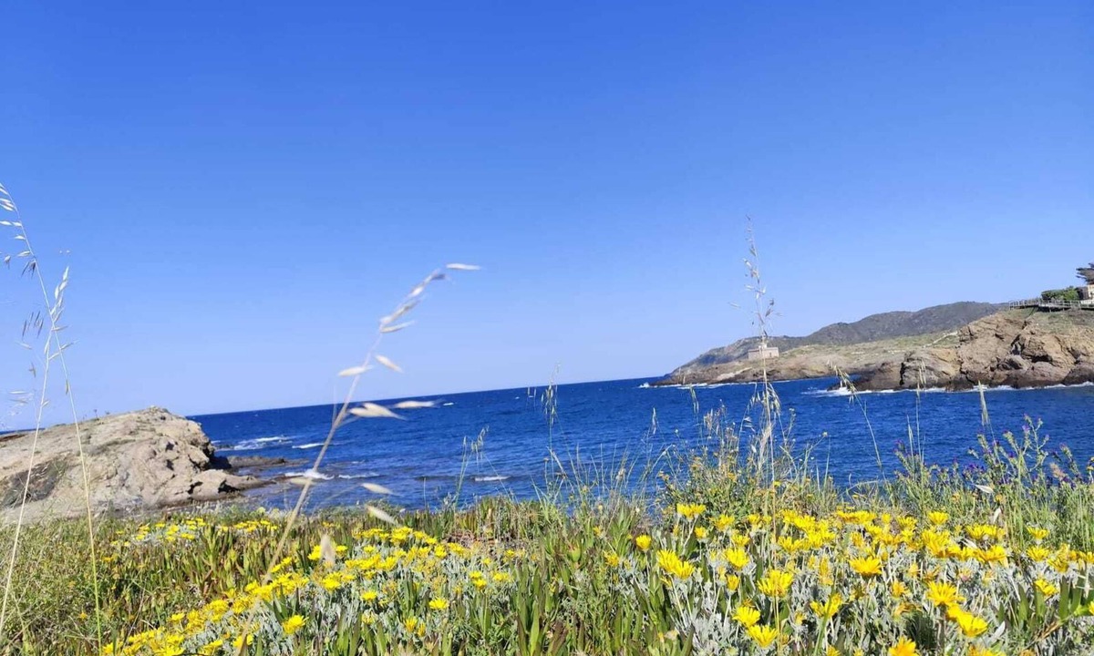 Port de la Selva Apartment | SEPTEMBER OFFER Apartment with large terrace in front of the sea, you see the sunrise