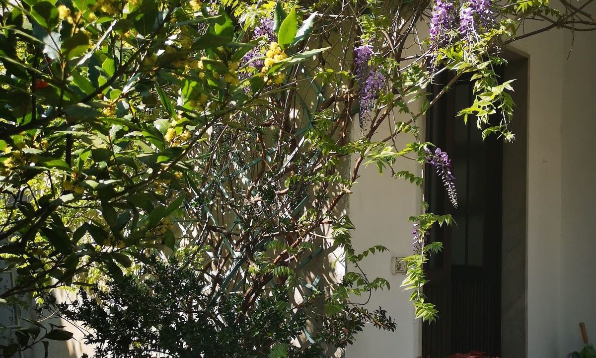 Precotto Apartment | SPACIOUS AND QUIET APARTMENT IN A VILLA