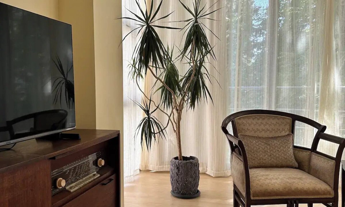 Caddebostan Mahallesi House | Tasteful and peaceful 2 bedroom