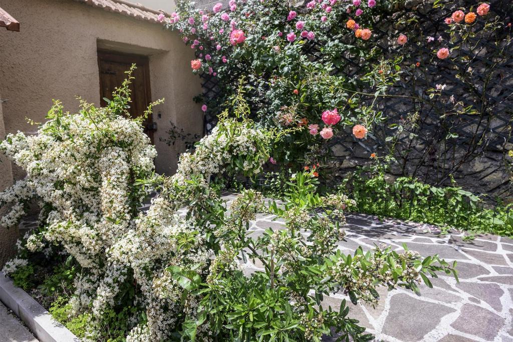 Luco dei Marsi Apartment | Torlonia: Due matrimoniali e bagno