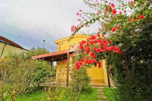 Botricello House | Villa Sofia