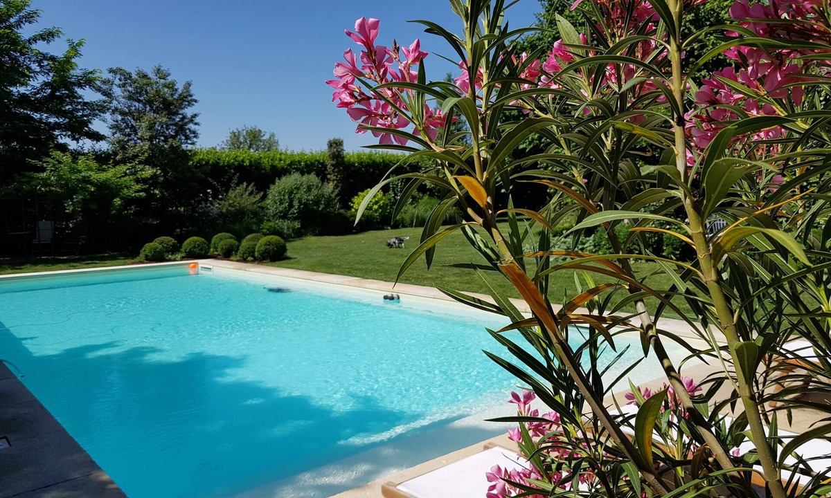 Cittadella House | Villino Di Porporano