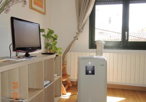 Apartament Besalú