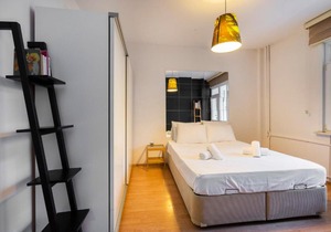Central Stylish House in Gayrettepe