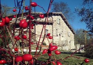 FARMHOUSE MONTESALCE-BLUE APARTMENT