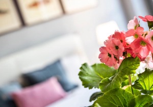 Isola Bella Apartments, Suite