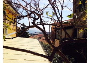 LIMONE Apartment at Agriturismo Il Vecchio Mulino