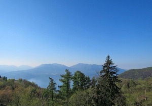 Locazione Turistica Casa Glory - CNR307