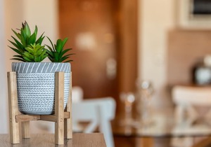 Pet-Friendly 'Apartment Agua Marina' with Sea View, Pool, Wi-Fi & Garden