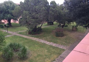 Porto Rotondo, Residence Punta Asfodeli