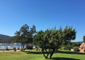 Porto Rotondo, Residence Punta Asfodeli