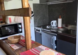 renovated studio ski in ski out, CIR 0282
